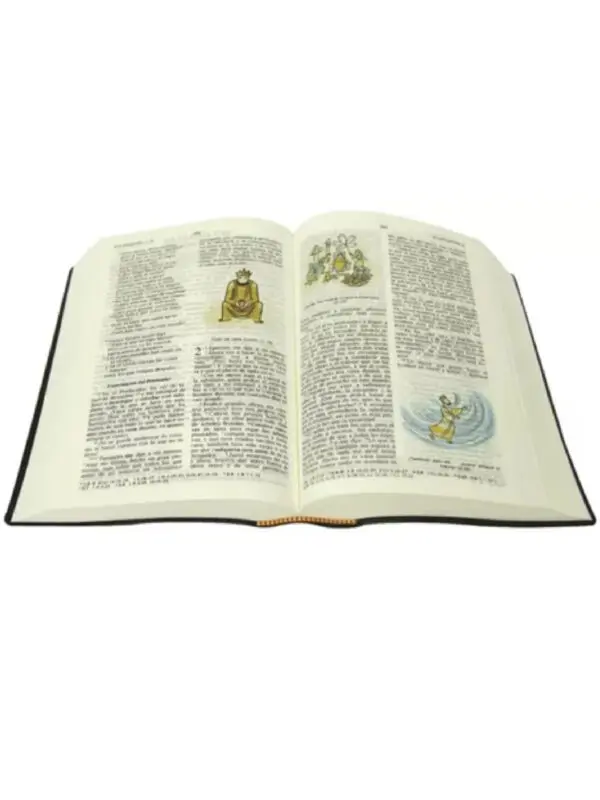 Biblia DHH Deuterocanónicos ilustraciones Vinil Negro - Imagen 3