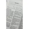 Biblia RVR60/Rosado Personal - Imagen 2