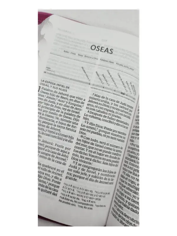 Biblia RVR60/Rosado Personal - Imagen 2