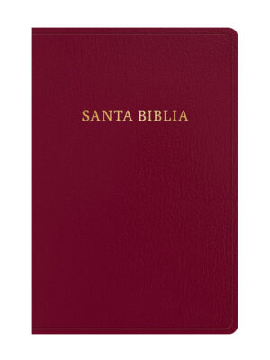 Biblia RVR60/ Letra Gigante/ Borgoña Piel