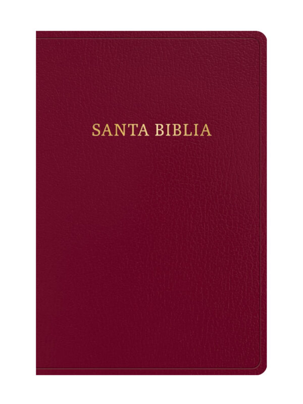 Biblia RVR60/ Letra Gigante/ Borgoña Piel