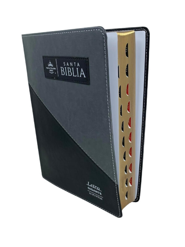 Biblia RVR60 Letra Gigante Piel Negro Gris Triangular