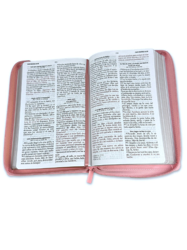 Biblia RVR60 065 LG Clásica Rosa