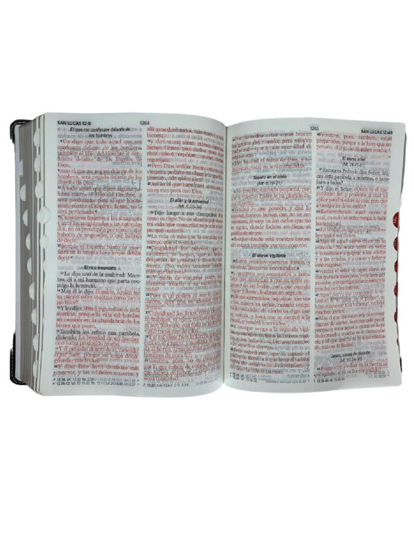 Biblia RVR60 Letra Gigante Piel Negro Gris Triangular - Imagen 3