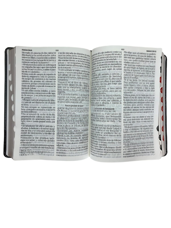 Biblia RVR60 Letra Gigante Piel Negro Gris Triangular - Imagen 2