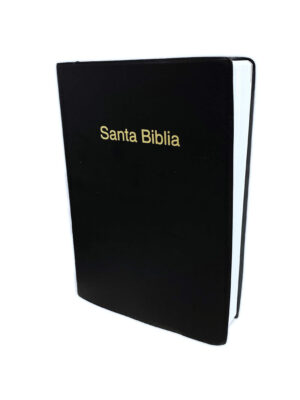 RV60 Biblia Letra Grande Manual Vinil Negro