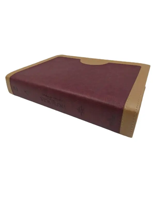 Biblia RVR60  Estudio Vida Plena - Imagen 3