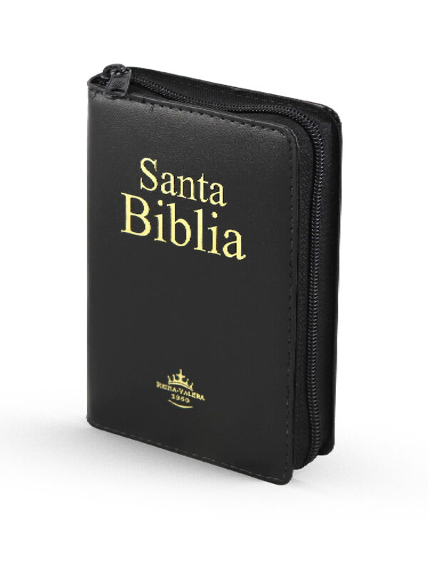 Biblia RVR60 Letra Grande Acolchada negra