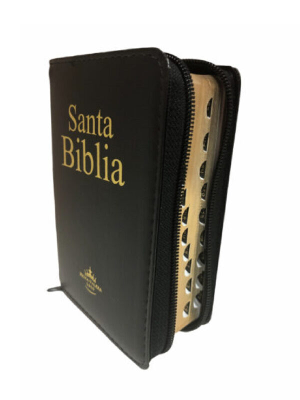 Biblia RVR60 Letra Grande Acolchada negra - Imagen 2