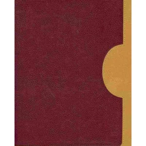 Biblia RVR60 Estudio Vida Plena