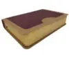 Biblia RVR60  Estudio Vida Plena - Imagen 2