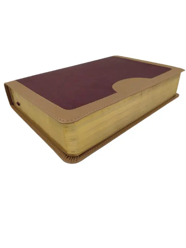 Biblia RVR60  Estudio Vida Plena - Imagen 2