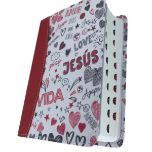 Biblia Para Jovenes Bolsillo RV60