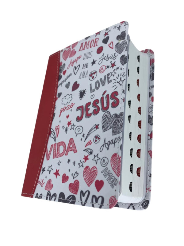 Biblia Para Jovenes Bolsillo RV60