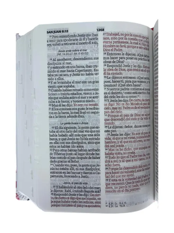 Biblia Para Jovenes Bolsillo RV60 - Imagen 3