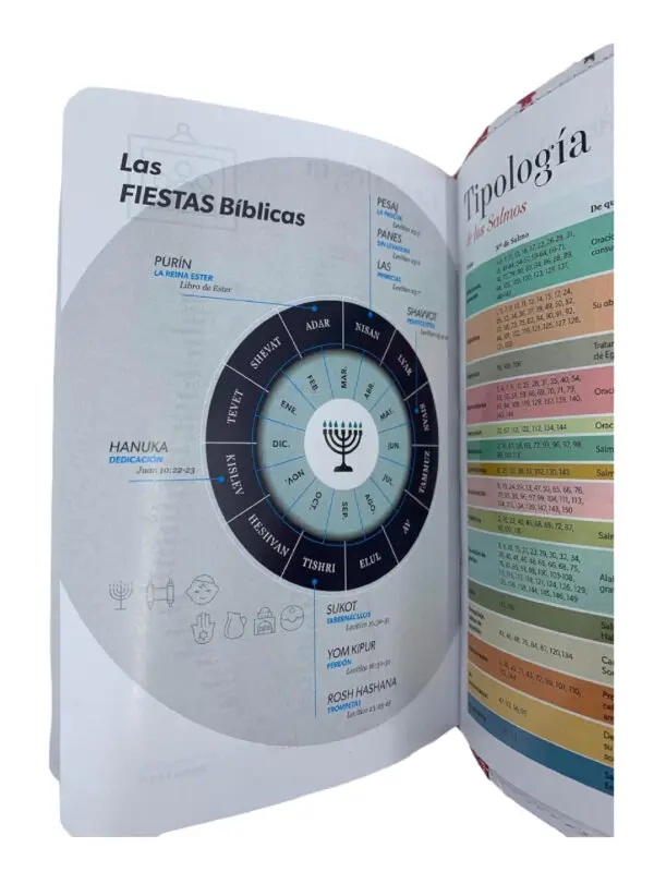 Biblia Para Jovenes Bolsillo RV60 - Imagen 2