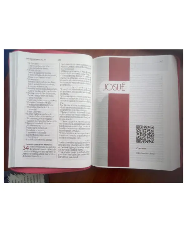 Biblia RVR/ Vino Tinto Cereza - Imagen 2