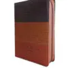 Biblia RVR60/Tricolor Café