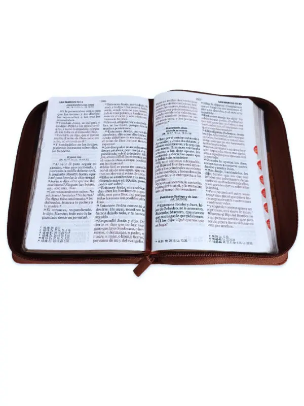 Biblia RVR60/Tricolor Café - Imagen 3