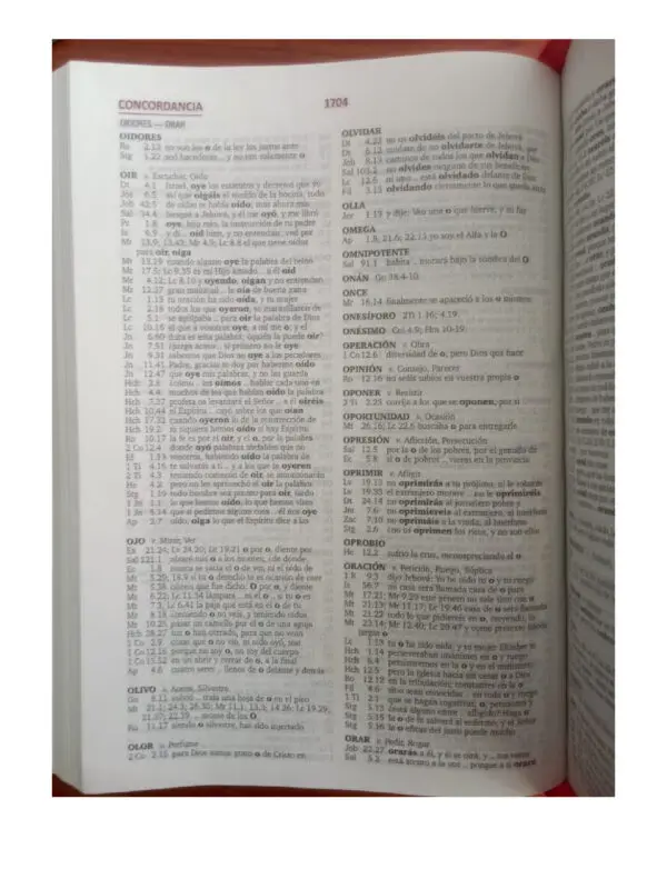 Biblia RVR/ Vino Tinto Cereza - Imagen 3