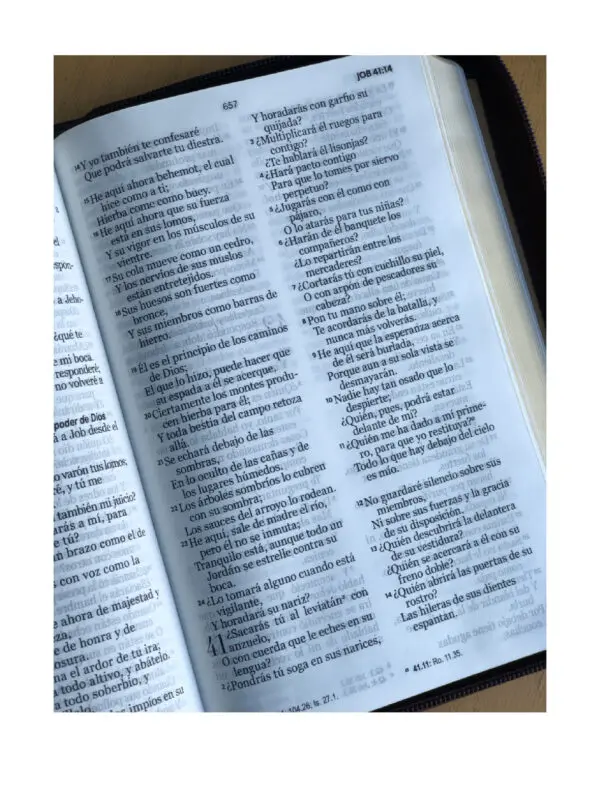 RVR60 Biblia Clásica /Café Crema - Imagen 2