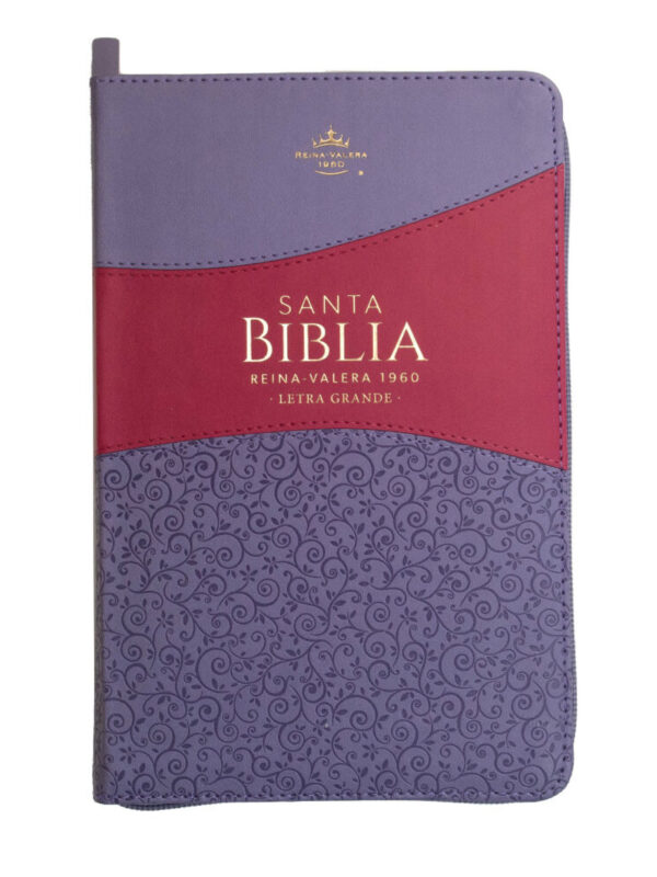 Biblia RVR60 Tamaño Manual Lila/Fucsia