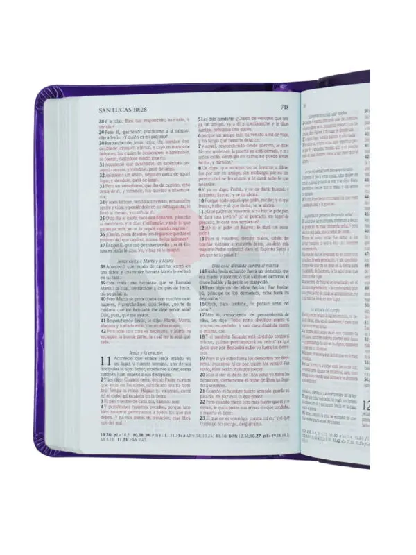 RVR60 Biblia Color Max Verde Primavera - Imagen 2