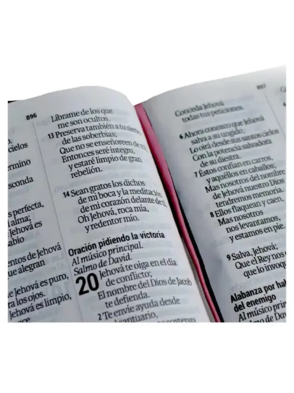 Reina Valera 60 Letra Grande Azul Flores - Imagen 2