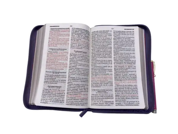 Biblia RVR60 Tamaño Manual Lila/Fucsia - Imagen 2