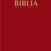 Biblia De Promesas Edición Económica Vino