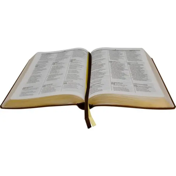 Biblia Trilingüe Portugués English Español - Imagen 4