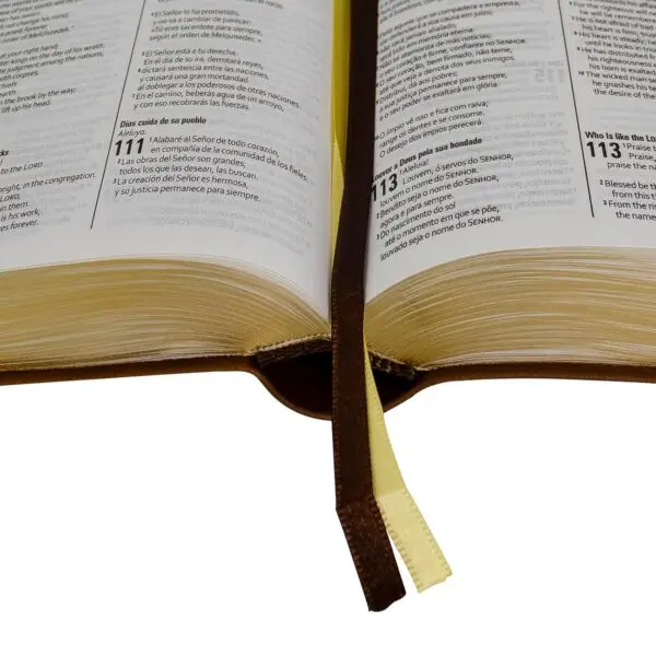 Biblia Trilingüe Portugués English Español - Imagen 2