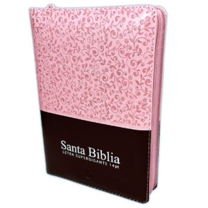 Biblia Letra Gigante RV1960 / Rosado Floral y Café