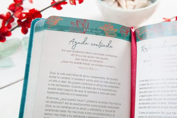 365 Días de Oración para la Depresión y la Ansiedad - Imagen 3
