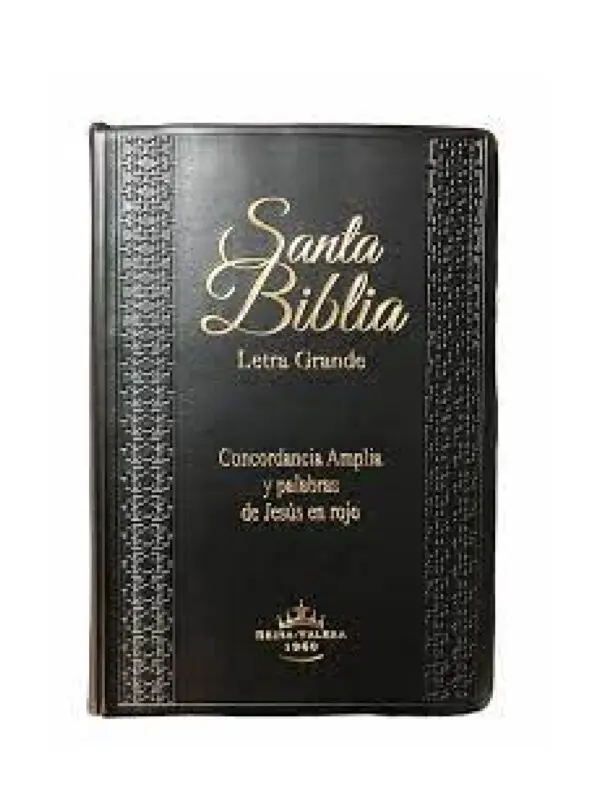 Biblia RV60 Letra Grande Vinilo - Imagen 2