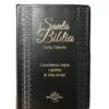 Biblia RV60 Letra Grande Vinilo