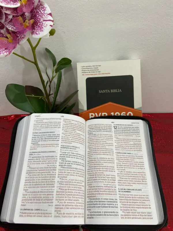 Biblia RVR60 Letra Grande Manual Negra Forrada - Imagen 4