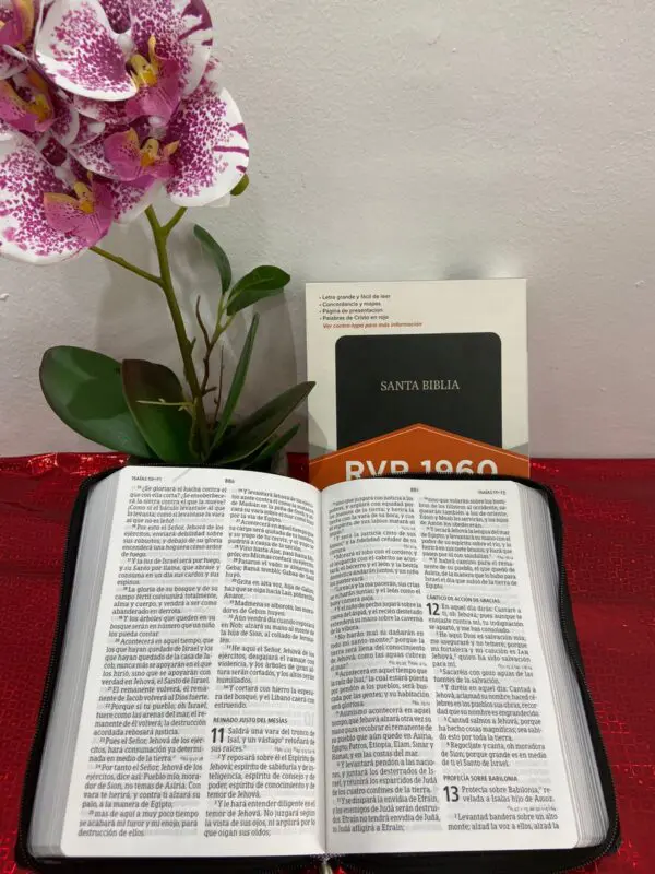 Biblia RVR60 Letra Grande Manual Negra Forrada - Imagen 5