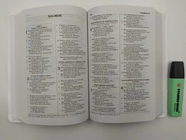 Biblia RVR60 Regalos Y Premios  Blanco - Imagen 7