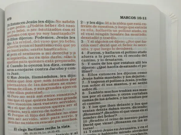 Biblia RVR60 Regalos Y Premios  Blanco - Imagen 5