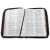 Biblia Gigante 15 puntos RV1960  Café Oscuro - Imagen 3