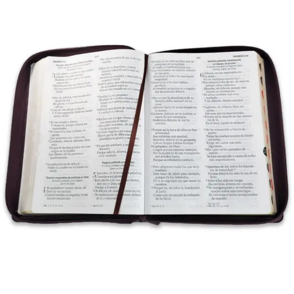 Biblia Gigante 15 puntos RV1960  Café Oscuro - Imagen 3