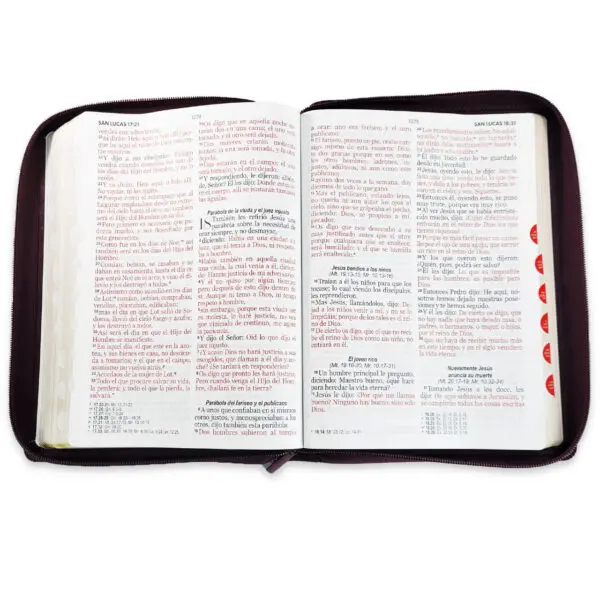 Biblia Gigante 15 puntos RV1960  Café Oscuro - Imagen 2