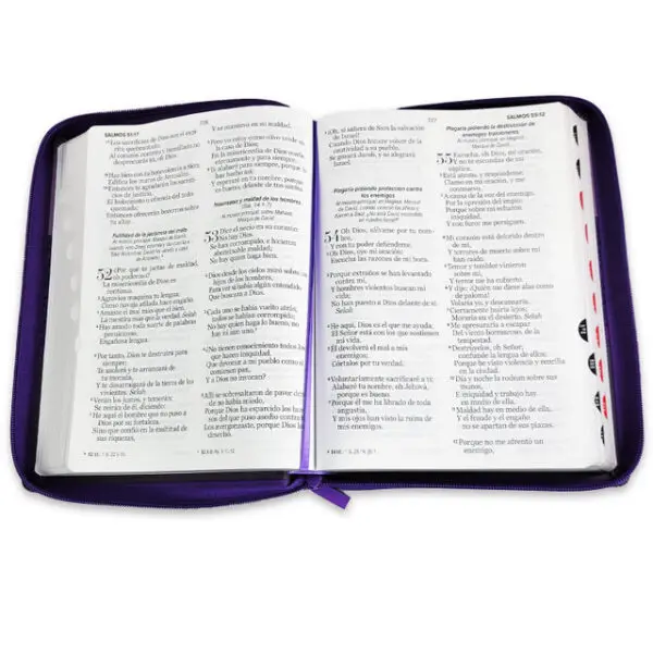 Biblia Letra Gigante 15 puntos RV1960 Lila  Negro - Imagen 3