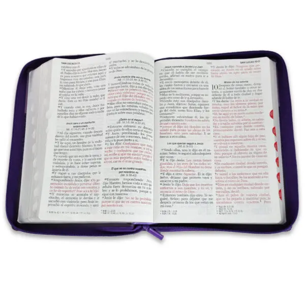 Biblia Letra Gigante 15 puntos RV1960 Lila  Negro - Imagen 4