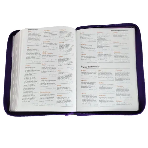 Biblia Letra Gigante 15 puntos RV1960 Lila  Negro - Imagen 2