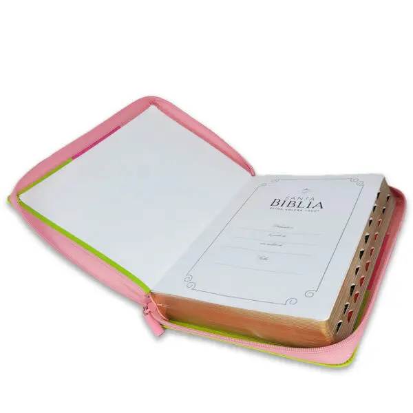 Biblia Letra Gigante 15 puntos RV1960 Tricolor Rosa/Fucsia/Lima - Imagen 5
