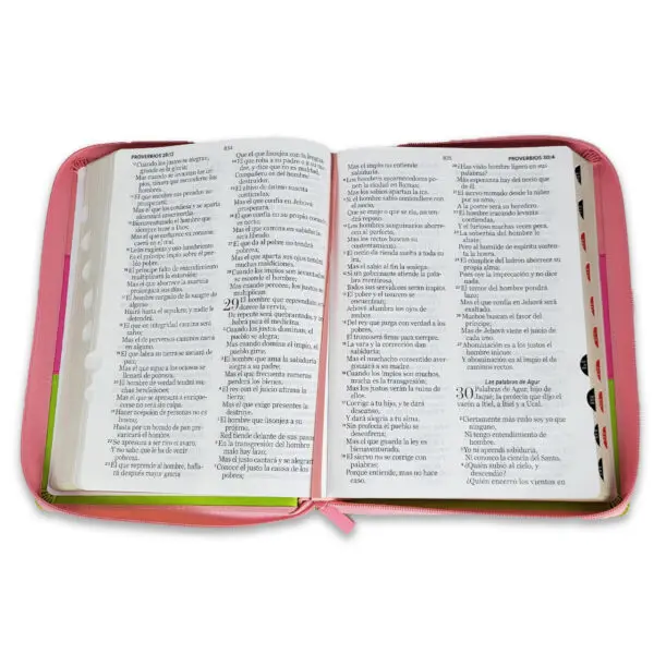 Biblia Letra Gigante 15 puntos RV1960 Tricolor Rosa/Fucsia/Lima - Imagen 3