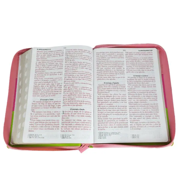 Biblia Letra Gigante 15 puntos RV1960 Tricolor Rosa/Fucsia/Lima - Imagen 4