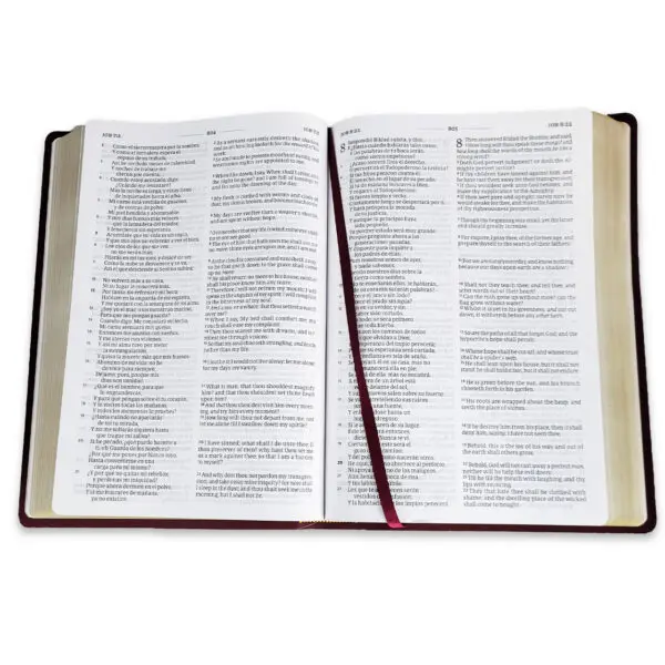 Biblia Bilingüe RV1960 - KJV Letra Grande Borgoña - Imagen 4